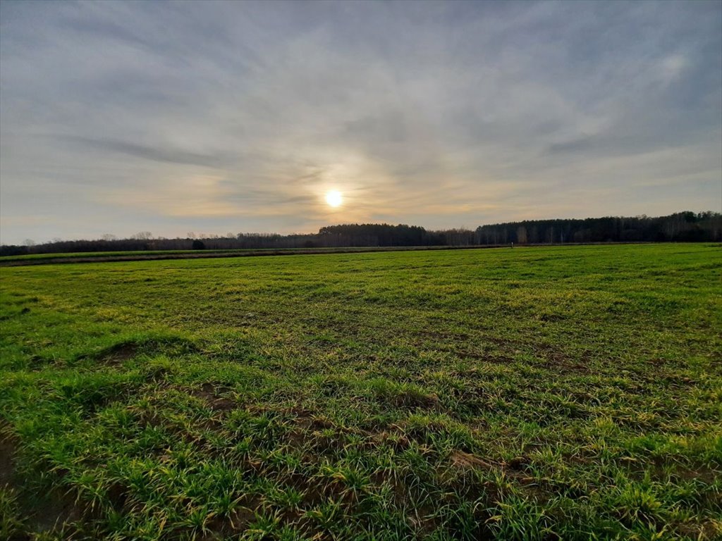 Działka budowlana na sprzedaż Dobrzyniewo Kościelne  3 420m2 Foto 1