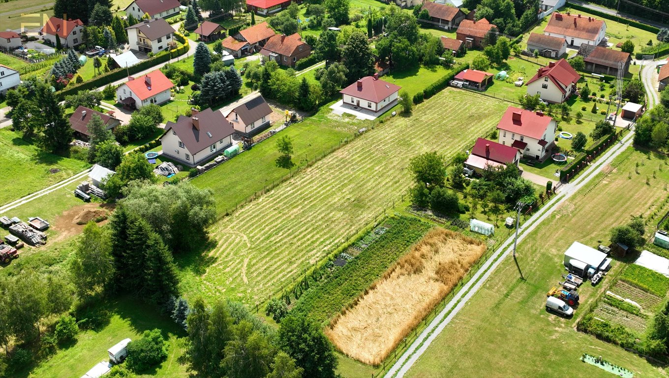 Działka budowlana na sprzedaż Dobrzechów  2 800m2 Foto 8