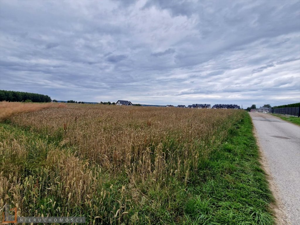 Działka budowlana na sprzedaż Piekary  20 395m2 Foto 1