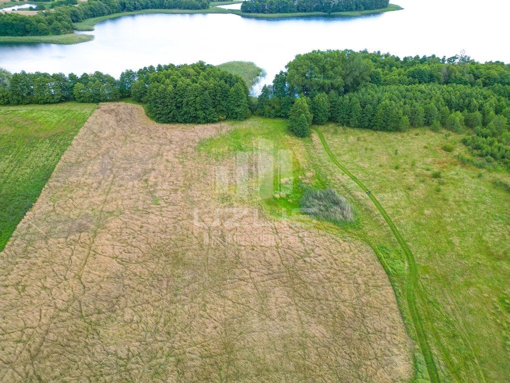 Działka budowlana na sprzedaż Warniłęg  56 500m2 Foto 2