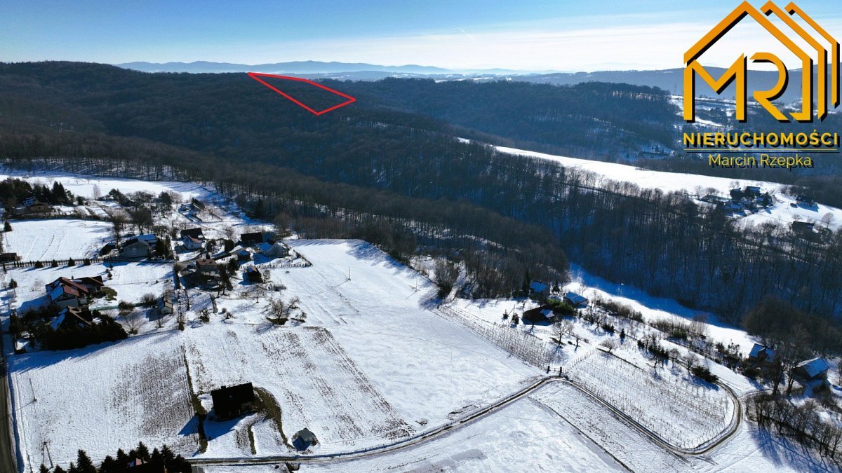 Działka leśna 0,35 ha w Świebodzinie - las, cisza, natura Świebodzin  3 500m2 Foto 1