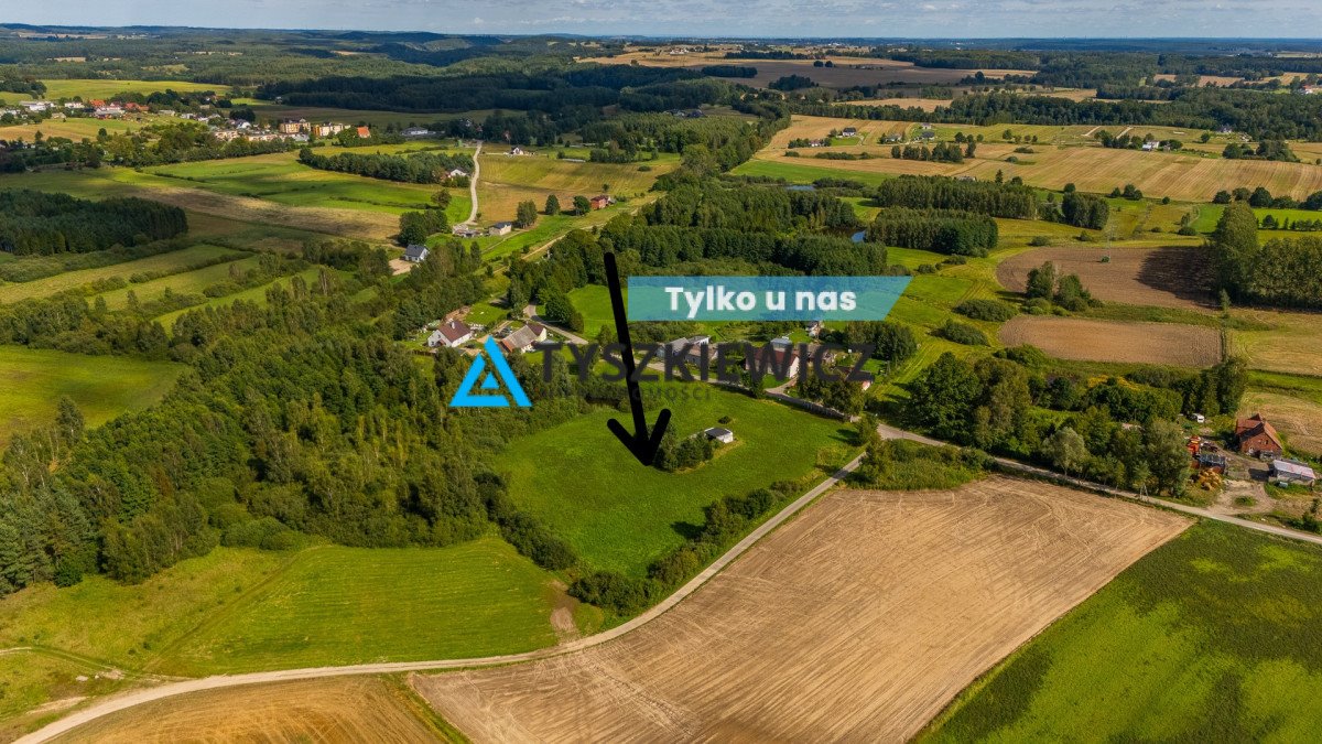 Działka siedliskowa na sprzedaż Głodowo  10 453m2 Foto 1