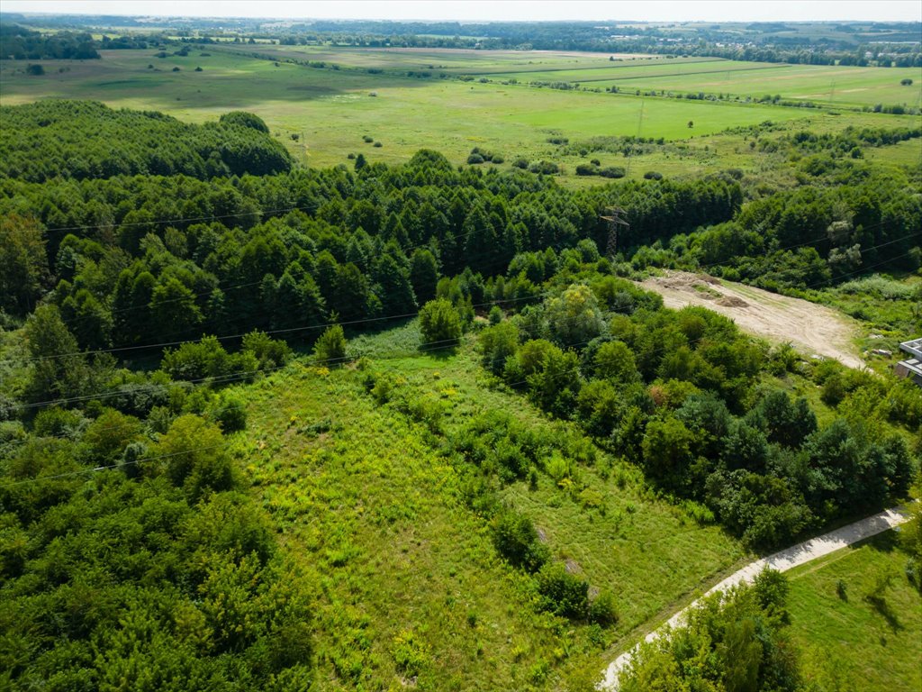 Działka rolna na sprzedaż Ostrowiec Świętokrzyski, Wschodnia  2 945m2 Foto 8