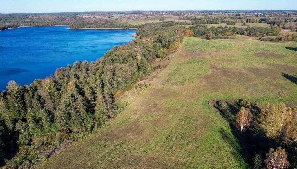 Działka rolna na sprzedaż Ramsowo  6 195m2 Foto 8