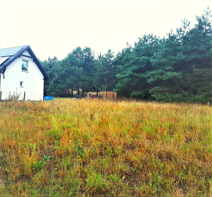 Działka budowlana 1738 m² w Brzozowcu — las, jeziora, media Brzozowiec  1 738m2 Foto 1