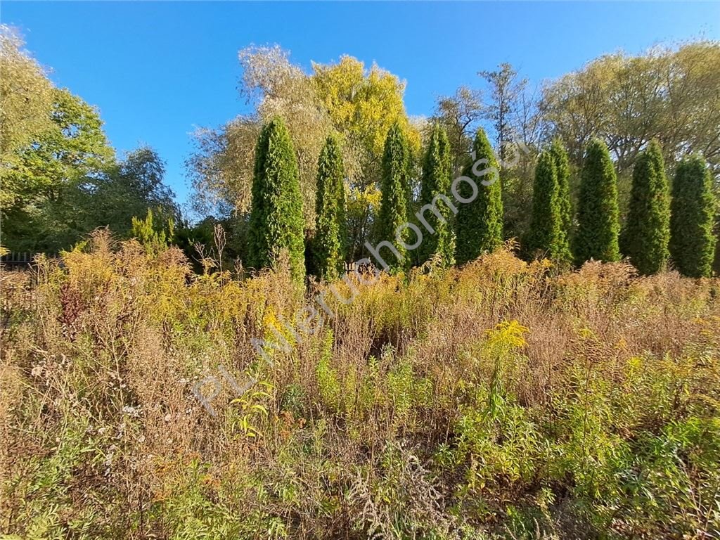 Działka 1500 m² w spokojnej okolicy z mediami i dojazdem Szczęsne  1 500m2 Foto 1