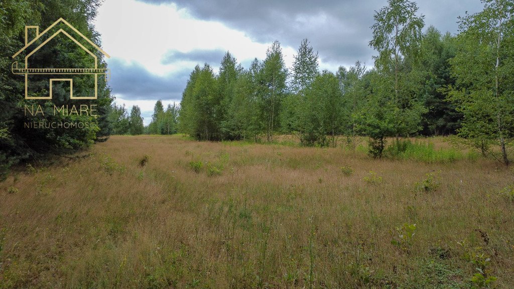 Działka budowlana na sprzedaż Kłoda, Leśna  1 808m2 Foto 9