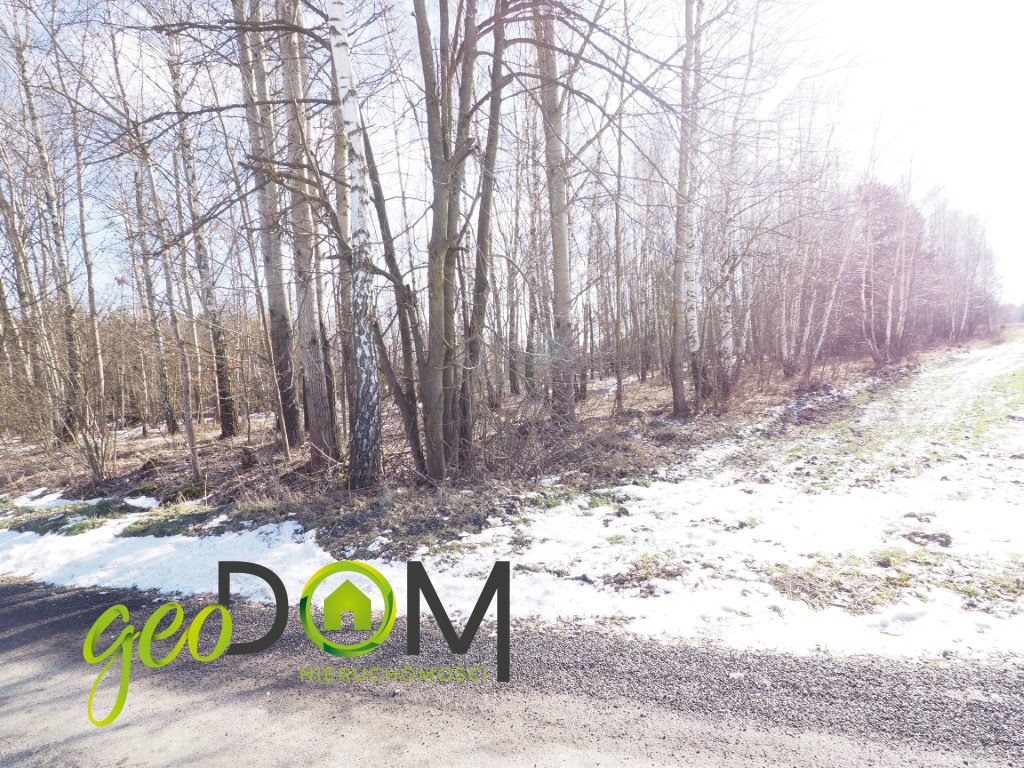 Działka w spokojnej okolicy, 7 027 m², blisko natury Wola Korybutowa Druga  7 027m2 Foto 1