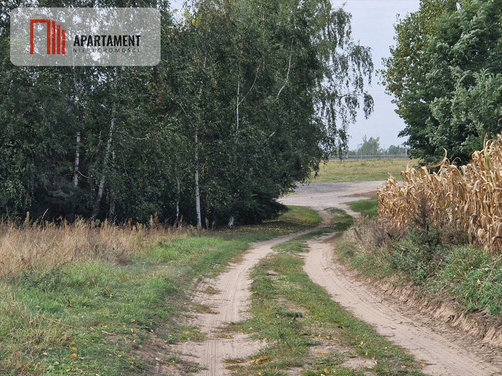 Działka budowlana na sprzedaż Rogowo  2 500m2 Foto 1