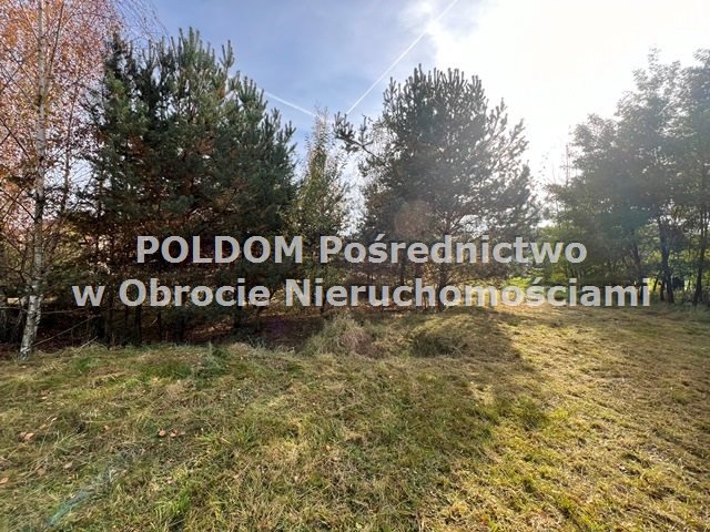 Działka budowlana na sprzedaż Wilczyn  5 747m2 Foto 4