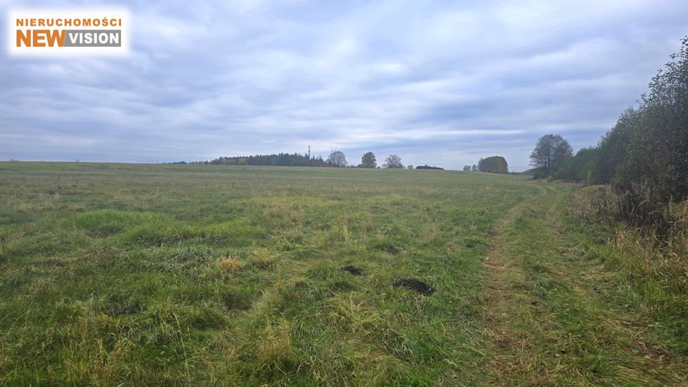 Działka 15 268 m² z mediami i warunkami zabudowy Dąbrowa Górnicza, Błędów, urokliwie położona  15 268m2 Foto 1