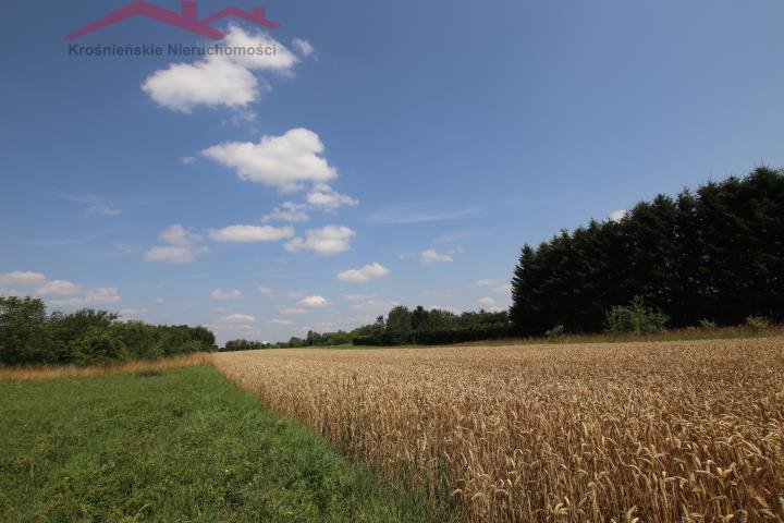 Działka budowlana na sprzedaż Łężany  3 930m2 Foto 10