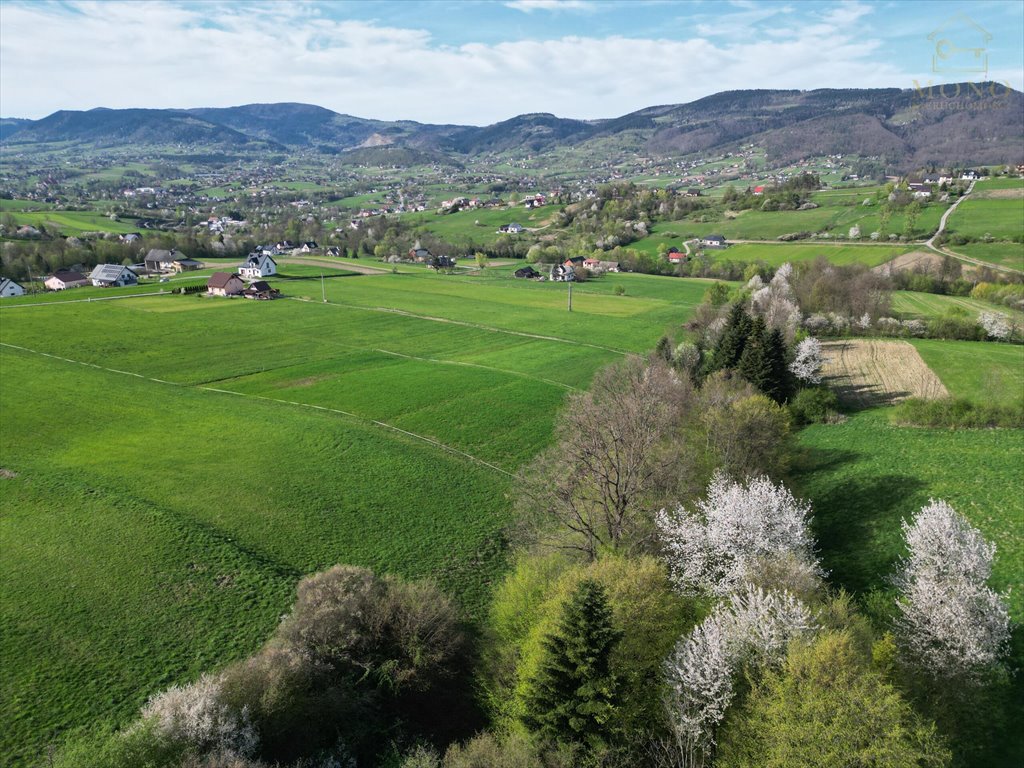 Działka rolna na sprzedaż Krasne Potockie  8 200m2 Foto 2