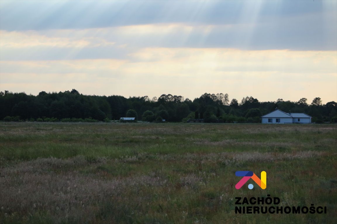 Działka 1,6 ha w Ochli z dostępem do drogi i uzbrojeniem Zielona Góra, Ochla, ul.Działkowa  16 077m2 Foto 1