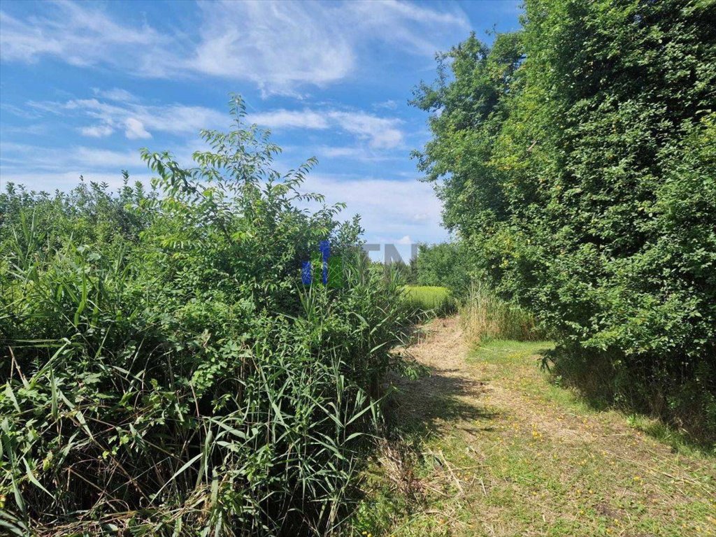 Działka budowlana na sprzedaż Kamieniec Wrocławski  825m2 Foto 6