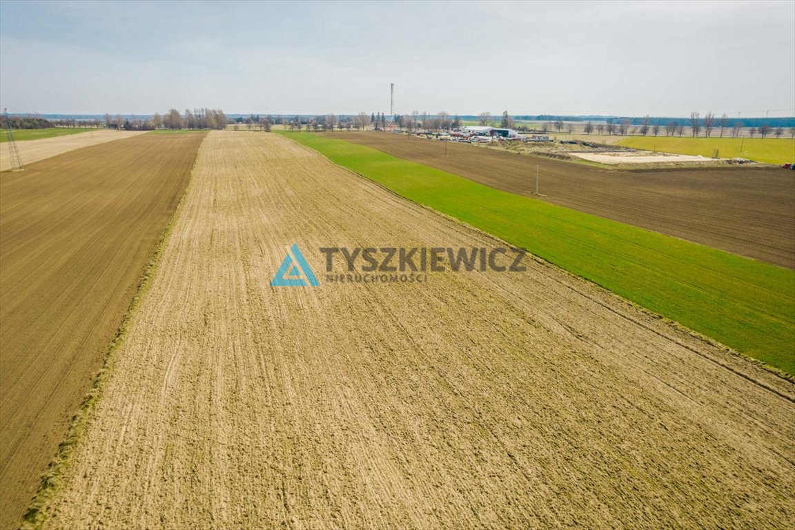 Działka rolna na sprzedaż Stara Dąbrowa  60 000m2 Foto 7