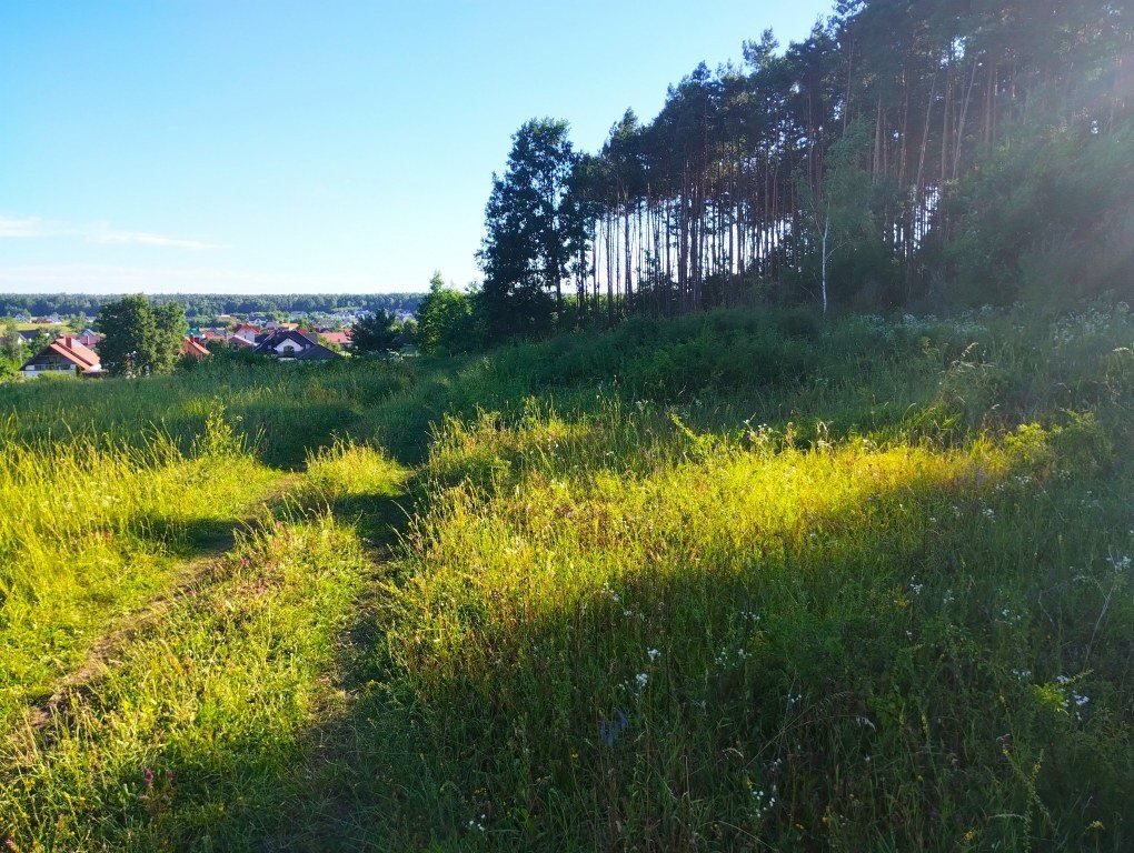 Działka budowlana na sprzedaż Bilcza  8 073m2 Foto 6