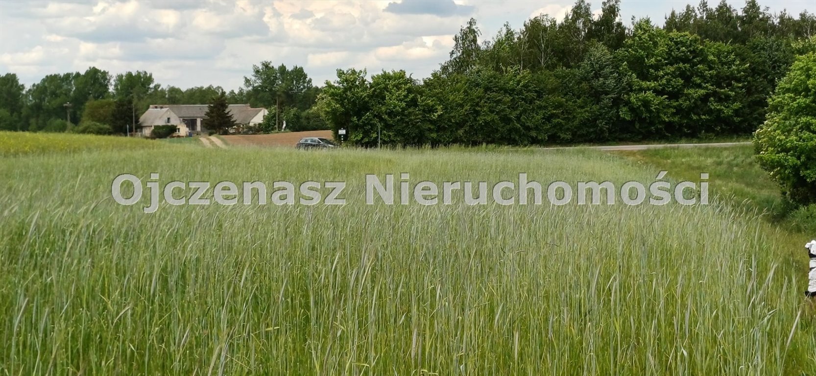 Malownicza działka rolną z widokiem, media, możliwość zakupu dwóch działek Sitno  2 980m2 Foto 1