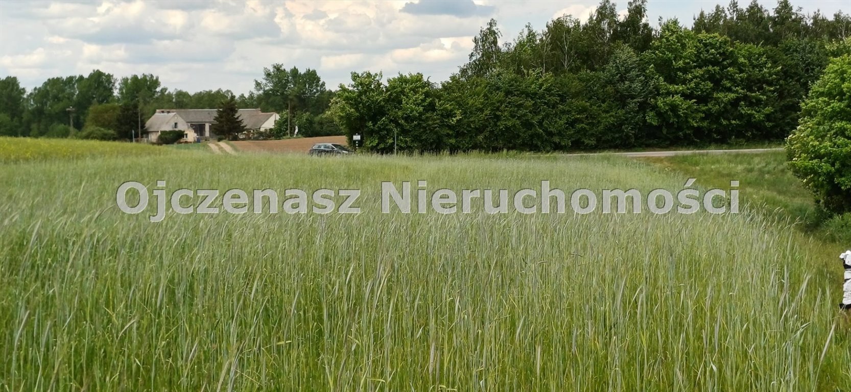 Działka rolna na sprzedaż Sitno  2 980m2 Foto 1