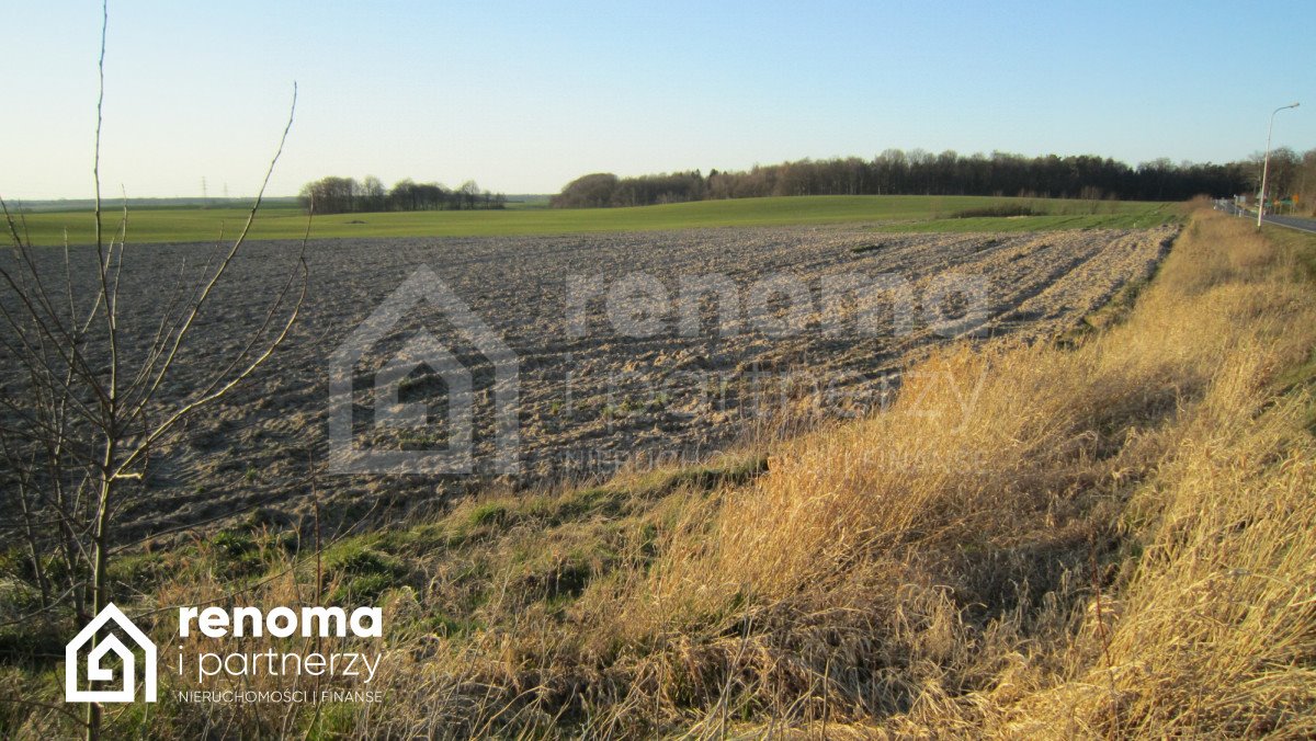 Działka budowlana na sprzedaż Sucha Koszalińska  975m2 Foto 12