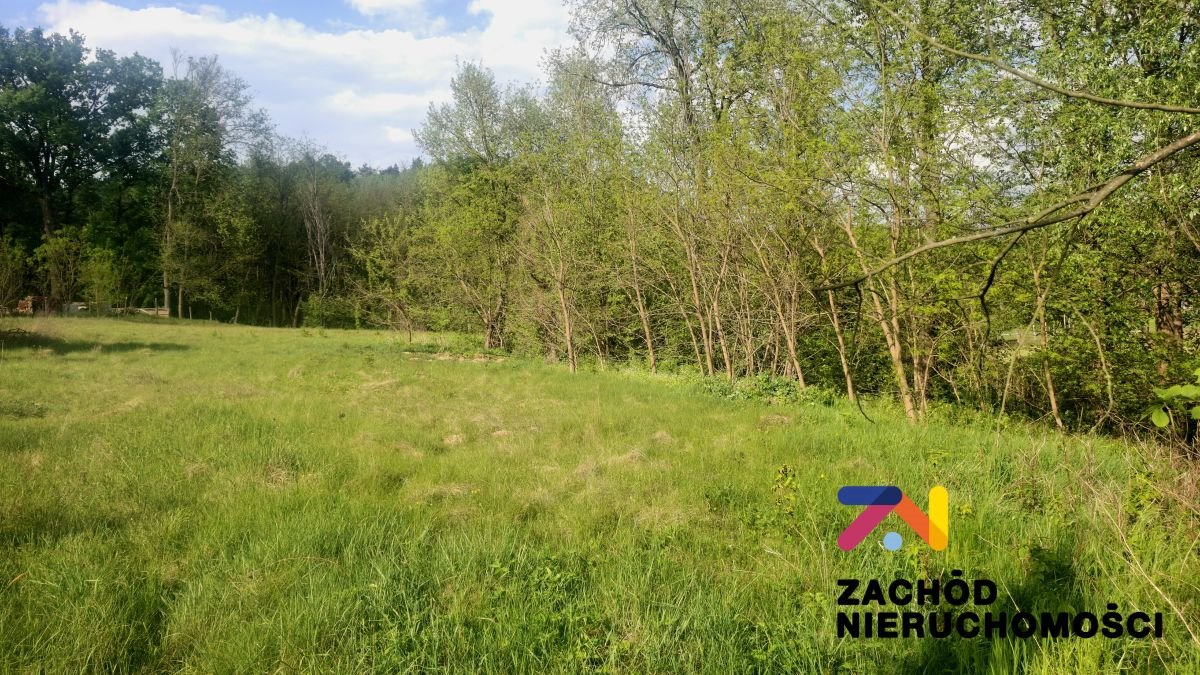 Działka budowlana na sprzedaż Tarnawa  2 662m2 Foto 1