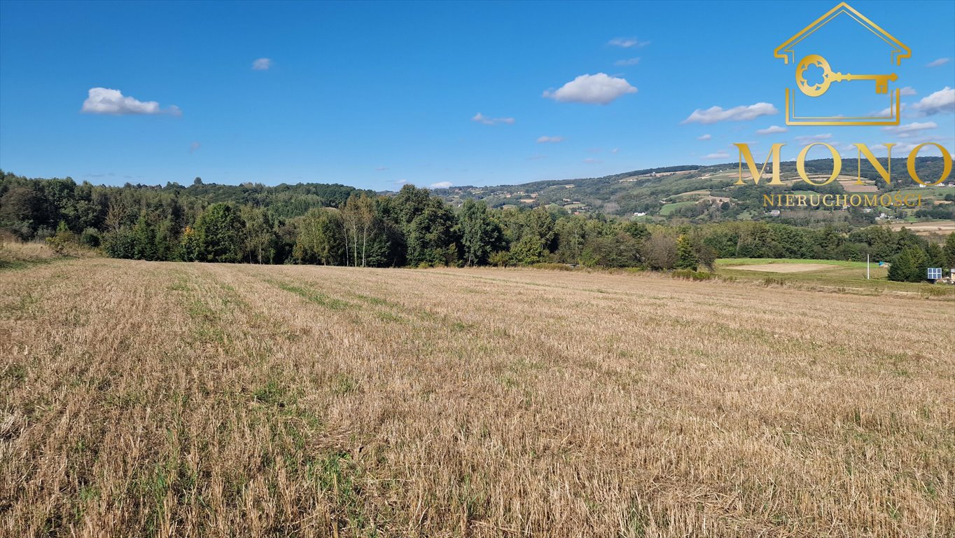 Działka budowlana na sprzedaż Buchcice  9 100m2 Foto 5