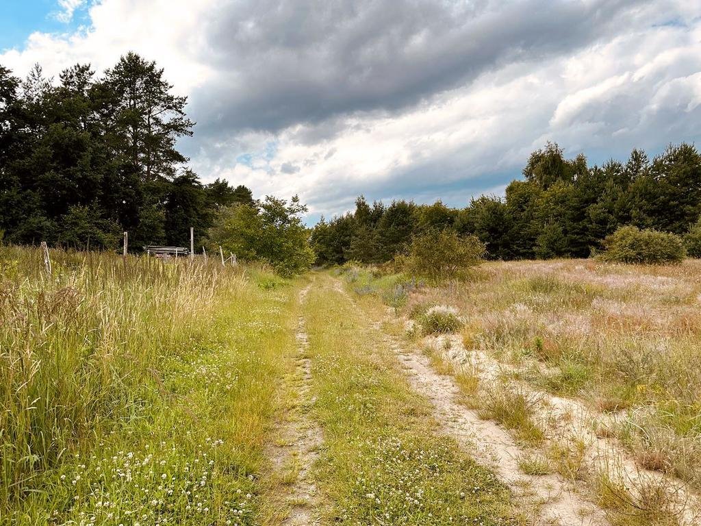 Działka inwestycyjna na sprzedaż Przęsocin, Słoneczna  95 600m2 Foto 6