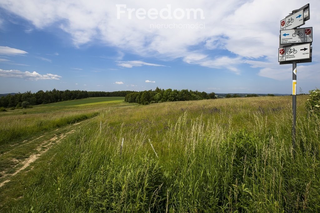 Działka budowlana na sprzedaż Wielopole Skrzyńskie  12 400m2 Foto 7