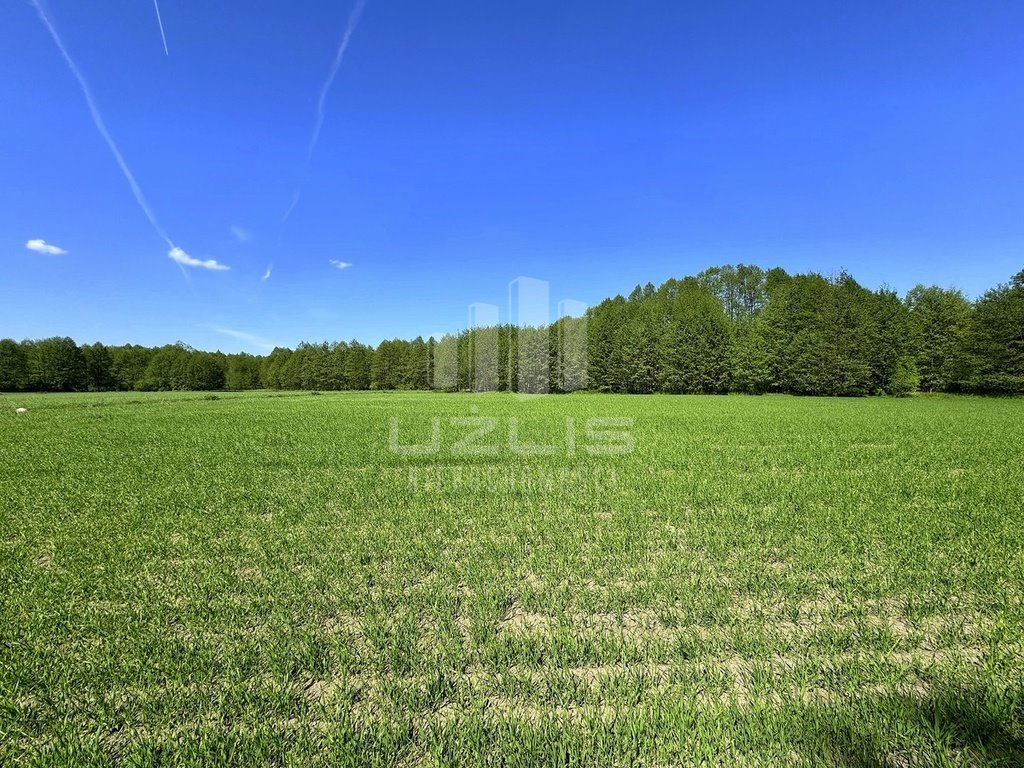 Działka inna na sprzedaż Osiek  12 670m2 Foto 13