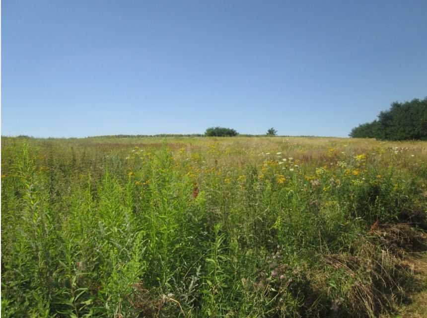 Działka inna na sprzedaż Świebodzice, Ciernie  1 700m2 Foto 2