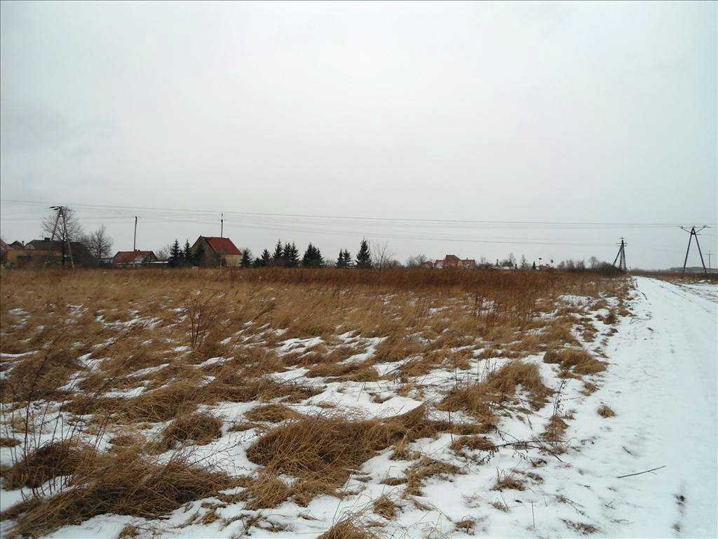 Działka inna na sprzedaż Legnica  29 677m2 Foto 11