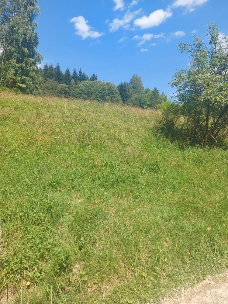 Działka budowlana na sprzedaż Zawoja, Zawoja, Mosorne  2 408m2 Foto 1