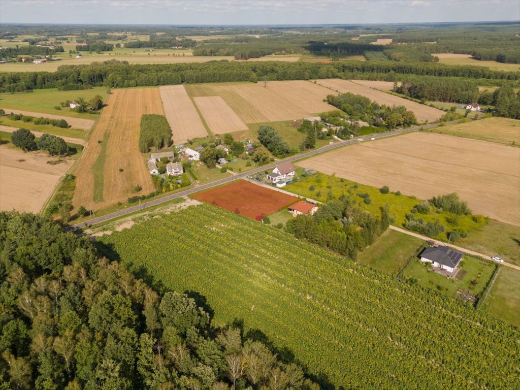 Działka budowlana na sprzedaż Święcienica, Niecała  2 614m2 Foto 10