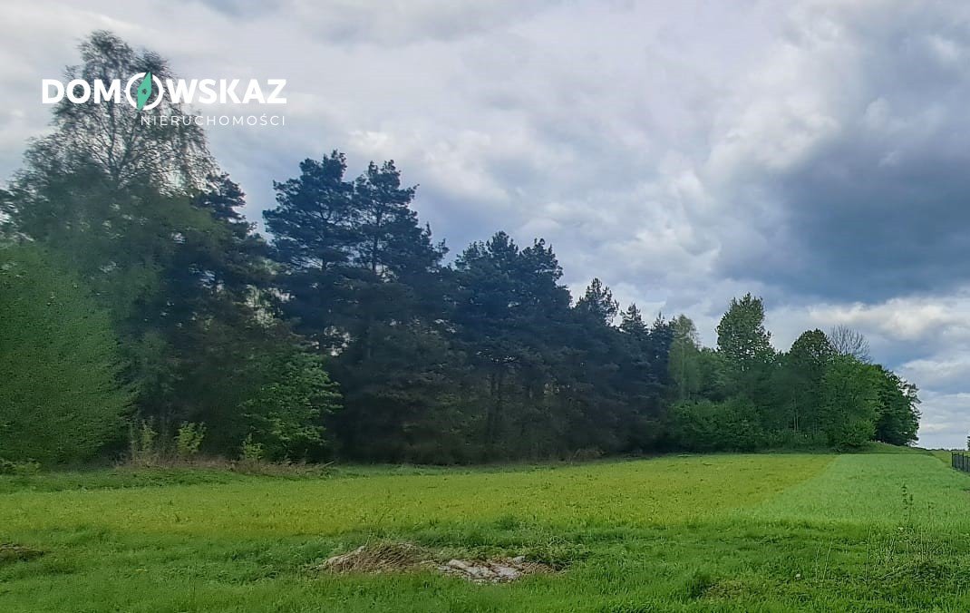 Działka leśna na sprzedaż Ogorzelnik  16 492m2 Foto 8