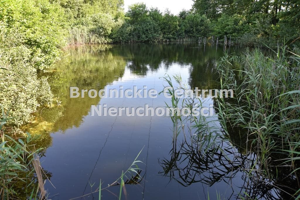 Dom na sprzedaż Bartniczka  363m2 Foto 6