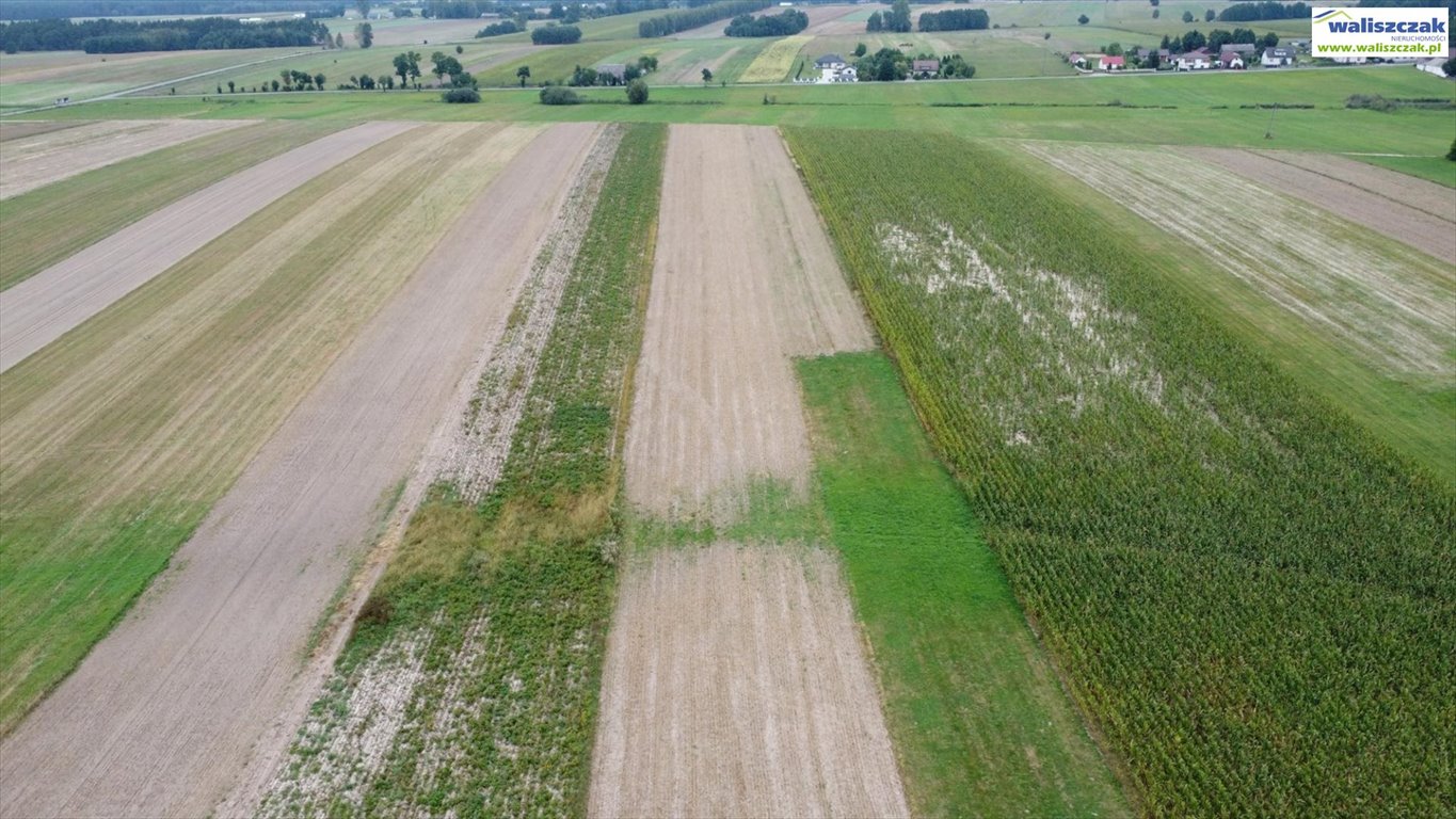 Działka rolna na sprzedaż Nowy Reczków  9 500m2 Foto 2