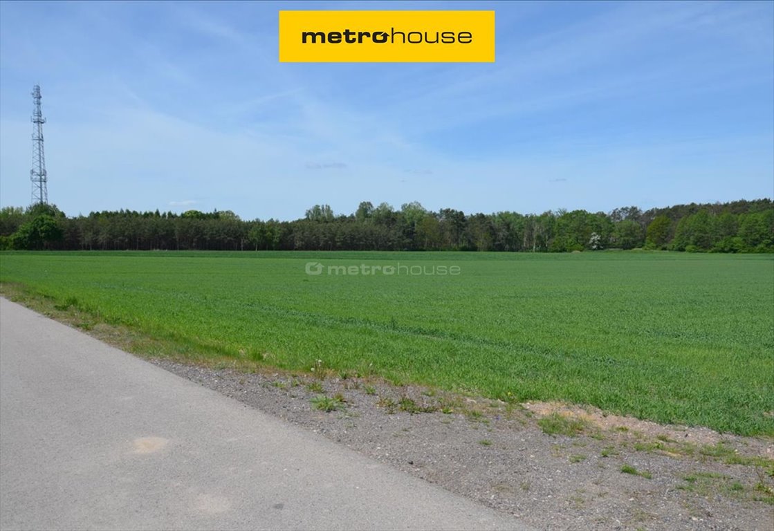 Działka 41 831 m² pod magazyny i produkcję, blisko Piotrkowa Raków Duży  41 831m2 Foto 1