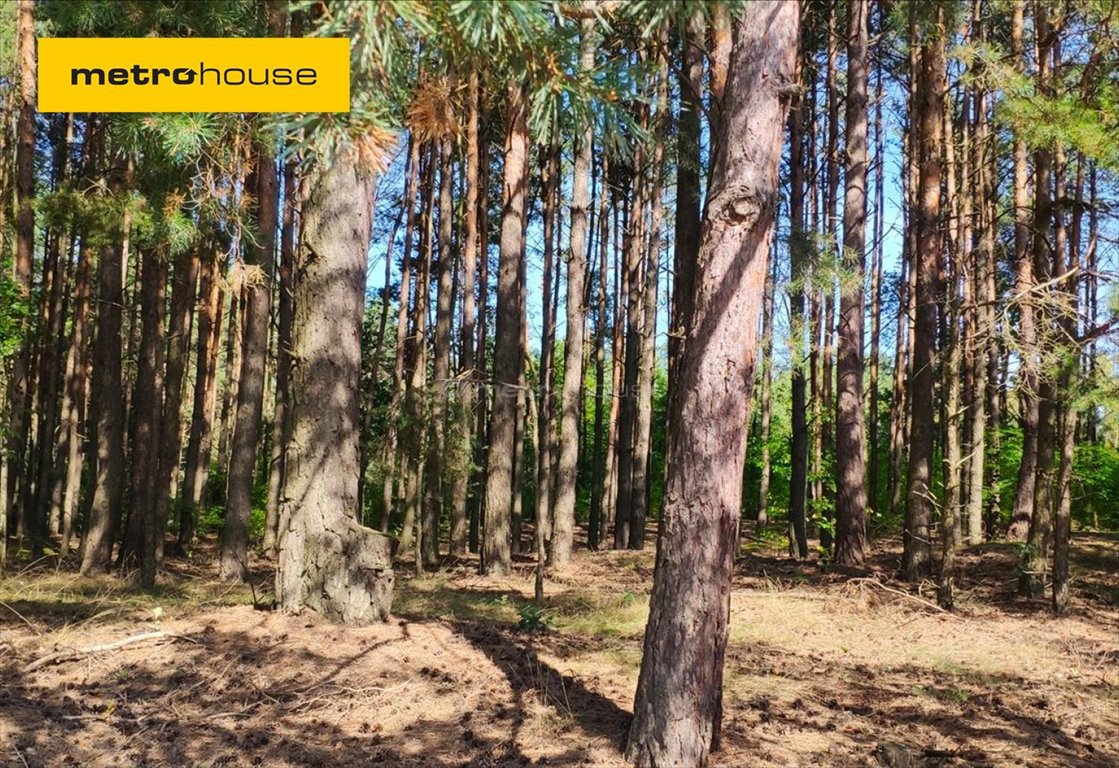 Działka inna na sprzedaż Helenów  3 000m2 Foto 1