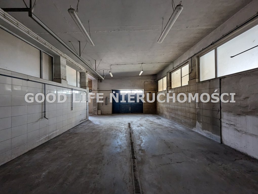 Lokal użytkowy na sprzedaż Dylągówka  1 600m2 Foto 2