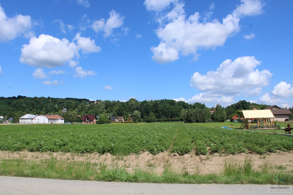 Działka budowlana na sprzedaż Winiary  10 200m2 Foto 7