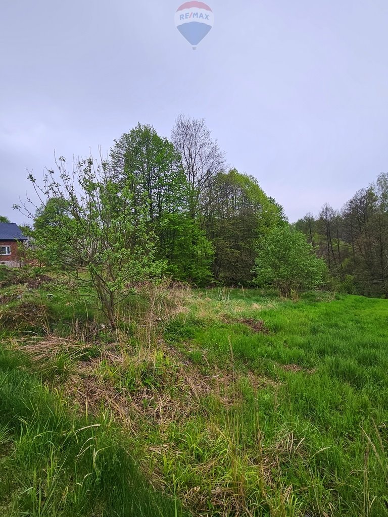 Działka budowlana na sprzedaż Małobądz, Pniaki  1 130m2 Foto 4