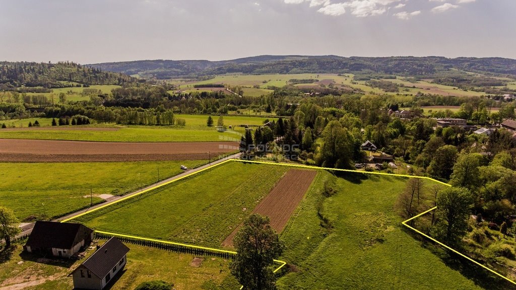 Działka budowlana na sprzedaż Domaszków  18 167m2 Foto 2