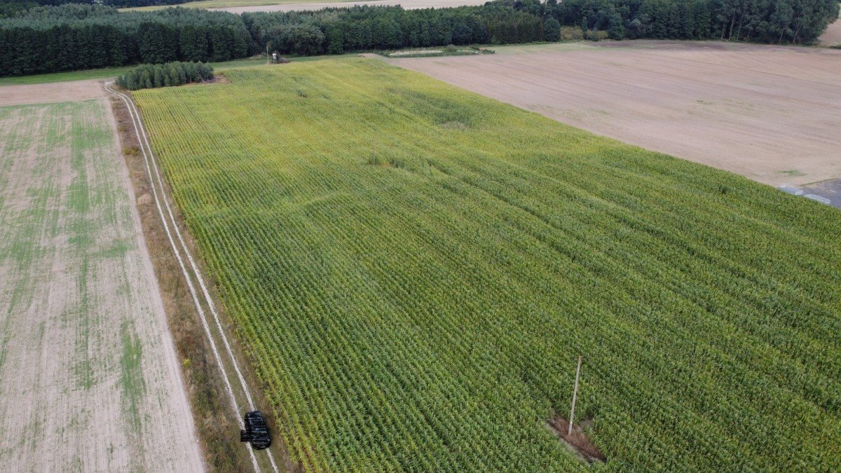 Działka przemysłowo-handlowa na sprzedaż Augustowo  36 800m2 Foto 6