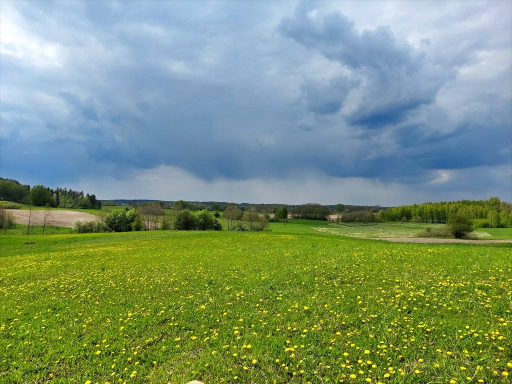 Działka rolna na sprzedaż Jeziorko, Jeziorko  3 018m2 Foto 3