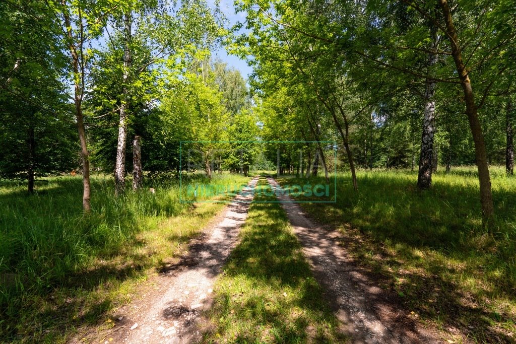 Działka siedliskowa na sprzedaż Kaleń-Towarzystwo  13 200m2 Foto 1