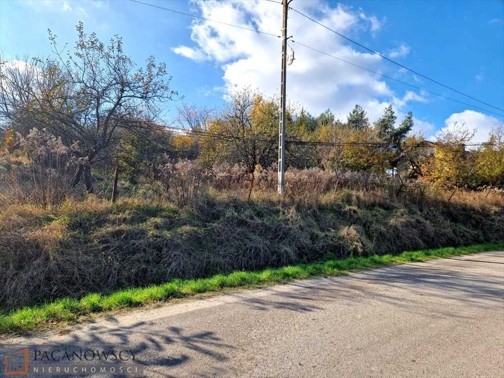 Działka budowlana na sprzedaż Minoga  4 600m2 Foto 3