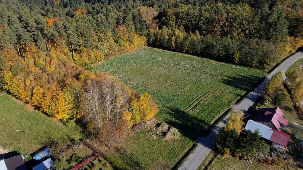 Działka budowlana na sprzedaż Cierpisz  1 670m2 Foto 3