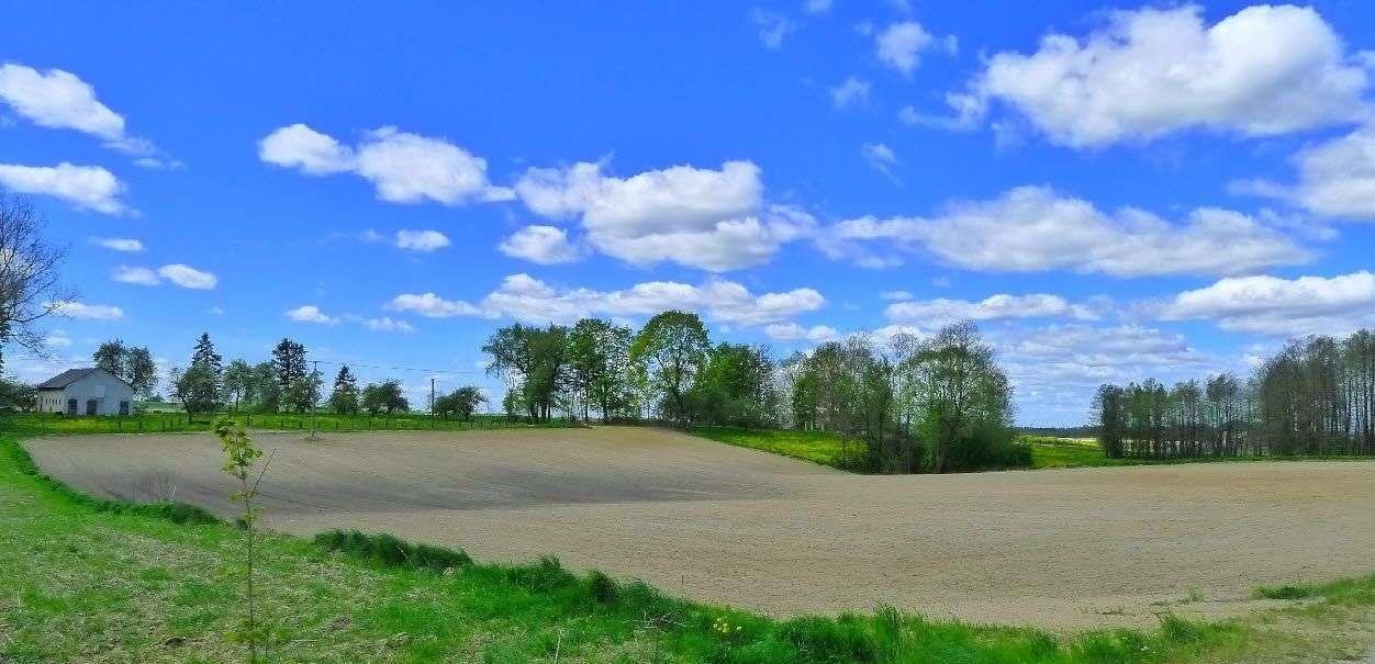 Działka rolna na sprzedaż Raczki  86 000m2 Foto 1