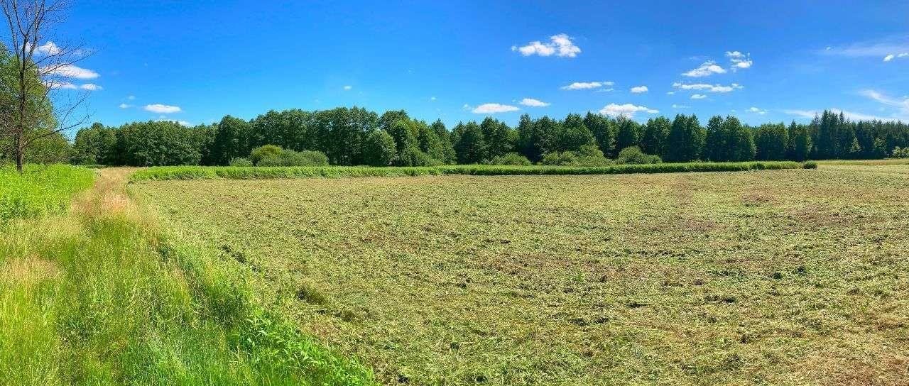 Działka inna na sprzedaż Zapałów  3 000m2 Foto 3