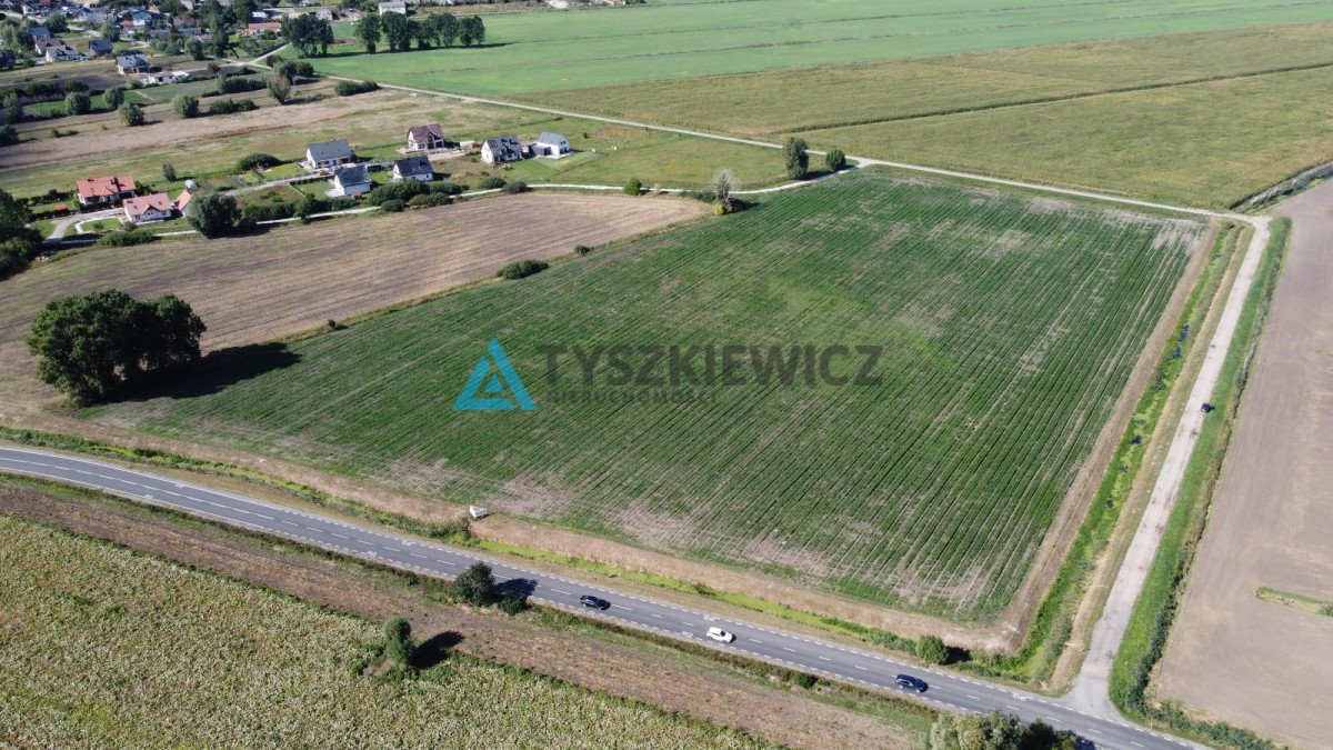 Działka rolna na sprzedaż Rokitnica, Ogrodowa  3 035m2 Foto 5